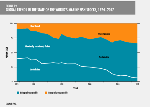 A Draft World Trade Organization Agreement on Fisheries Subsidies: What's  on the table?