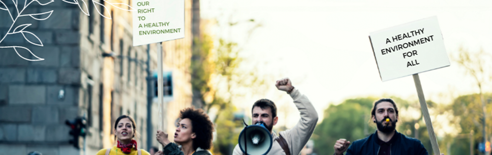 Global Coalition on the Human Right to a Healthy Environment, of which