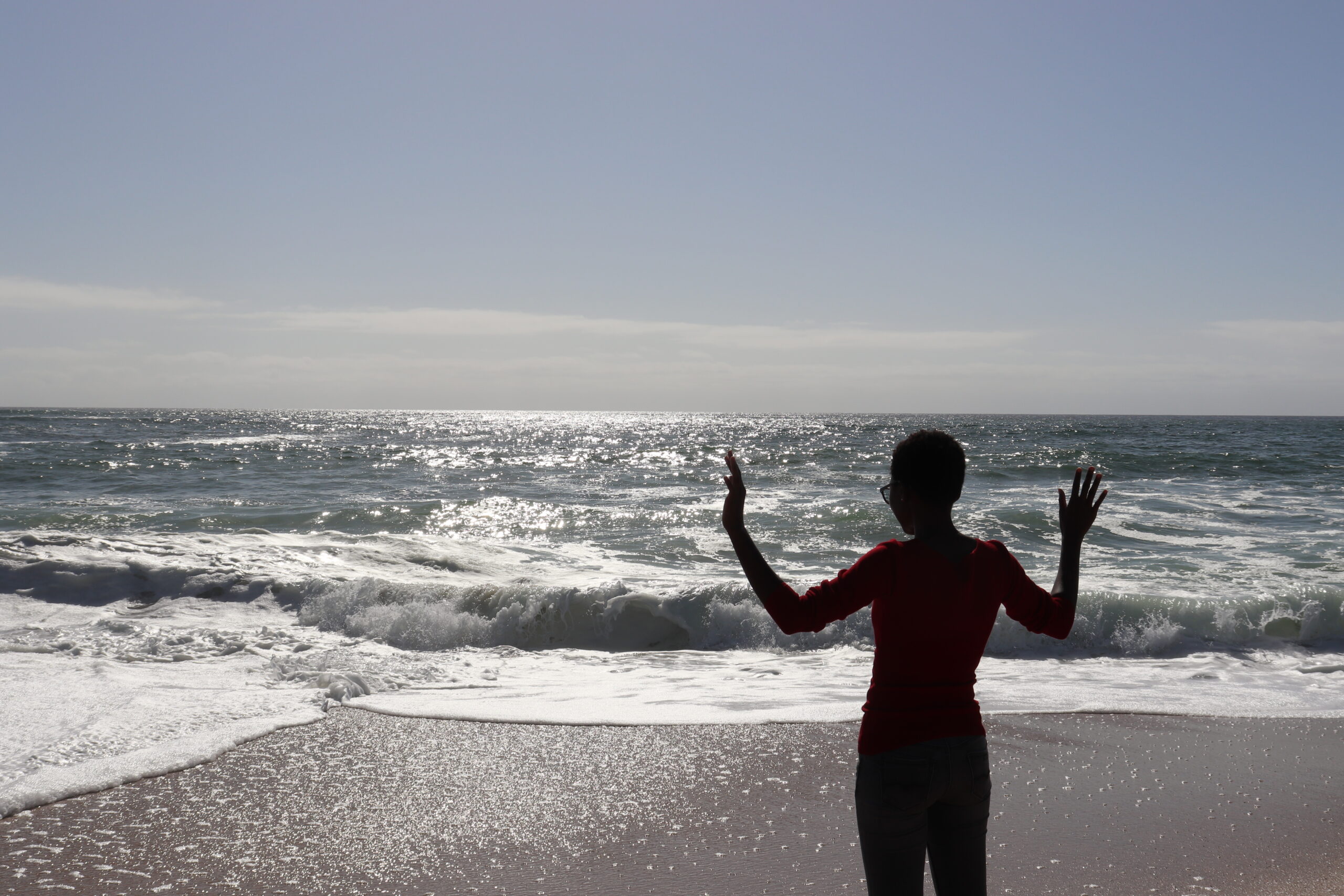 Ocean View Program Reflections on the Blue Economy Massive Open Online Course Series | One ...