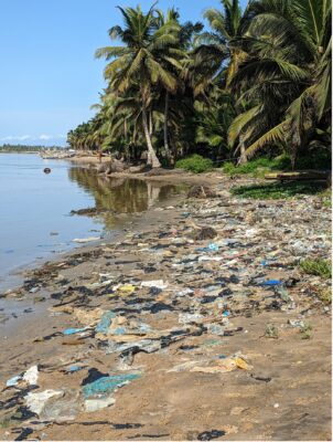 Plastic pollution around the mangrove community in Narkwa Ghana, Africa