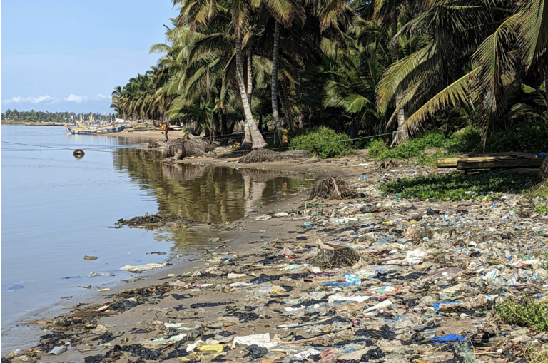 Plastic pollution around the mangrove community in Narkwa Ghana, Africa. Photo: Geslaine R L Gonçalves